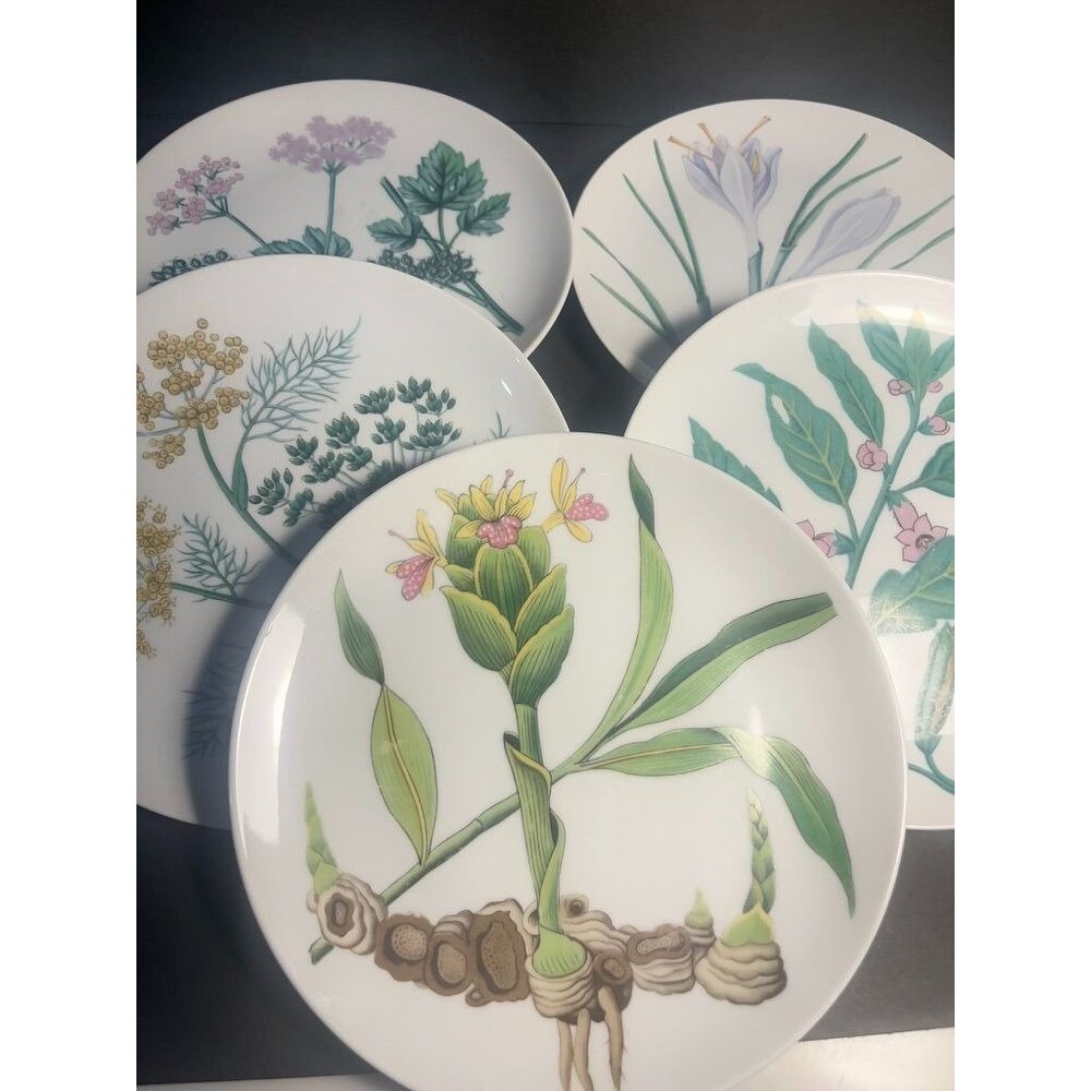 Horchow Set Of 5 Botanical Herb Seed Salad Plates Discontinued